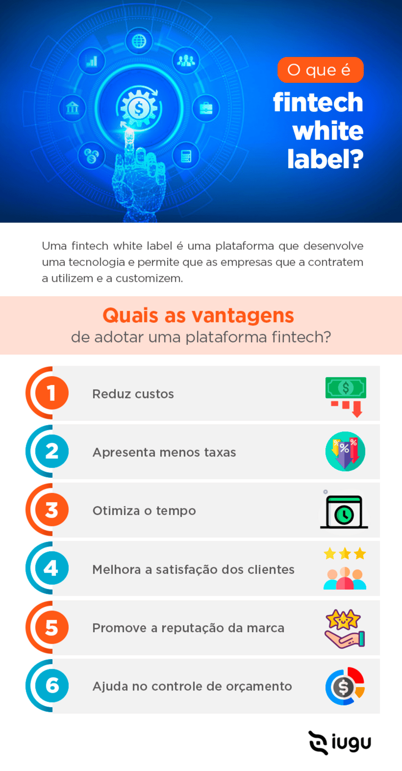 Infográfico explicando o que é fintech white label